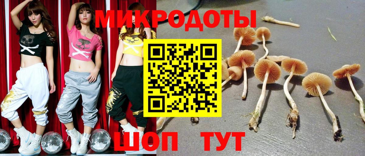 Касимов  Псилоцибиновые грибы прущие грибы  купить   Вход с VPN 