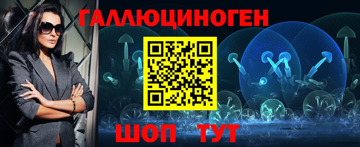 Псилоцибиновые грибы Psilocybine cubensis Касимов